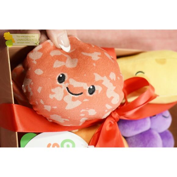 Gigglescape Charcuterie Box Set Swiss Cheese, Salami, Grapes, Bread 4pc Plush - Picture 2 of 6